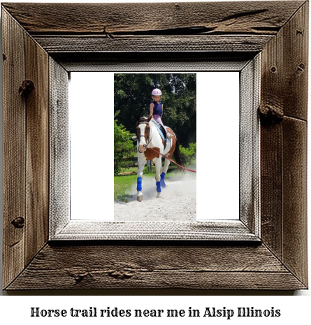 horse trail rides near me in Alsip, Illinois